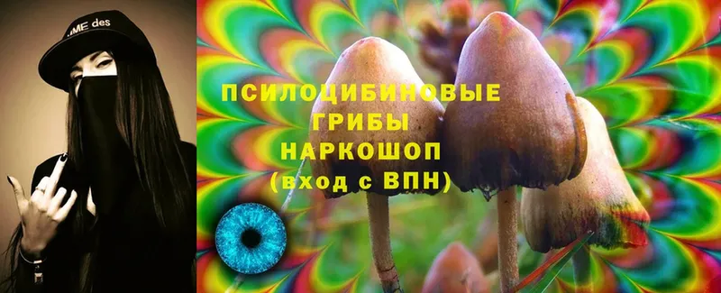 сколько стоит  Людиново  Галлюциногенные грибы Cubensis 